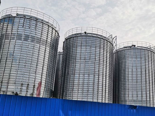 Yihai Kerry (Tianjin) 10000t Rice Storage Project 